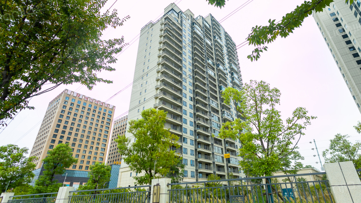 中建壹品澜荟外景图