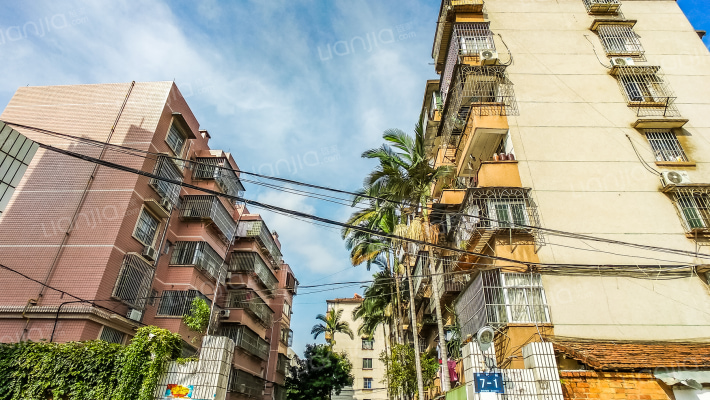 南宁茶厂职工集资住宅楼外景图