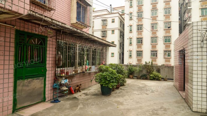 新围综合楼外景图