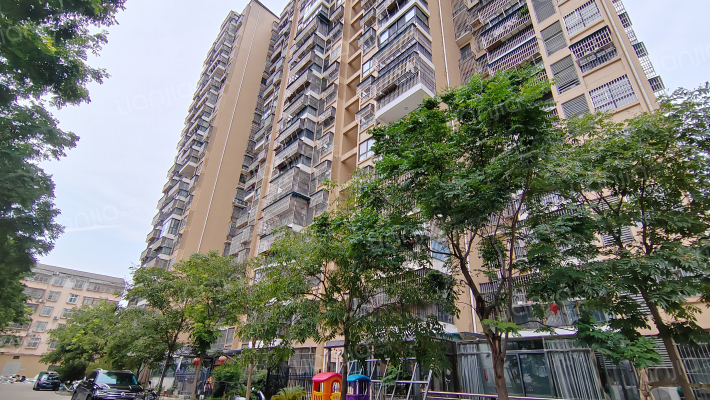 太华国际外景图