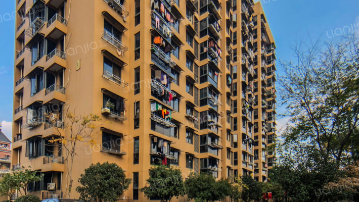 新沁家园外景图