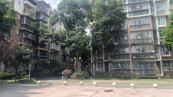 馨苑小区西北区外景图