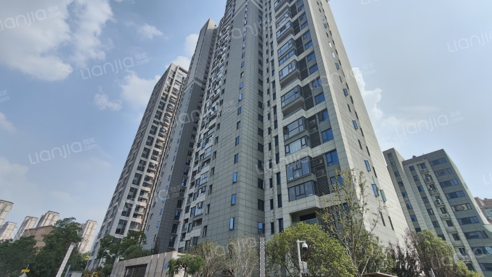 梧桐花园外景图