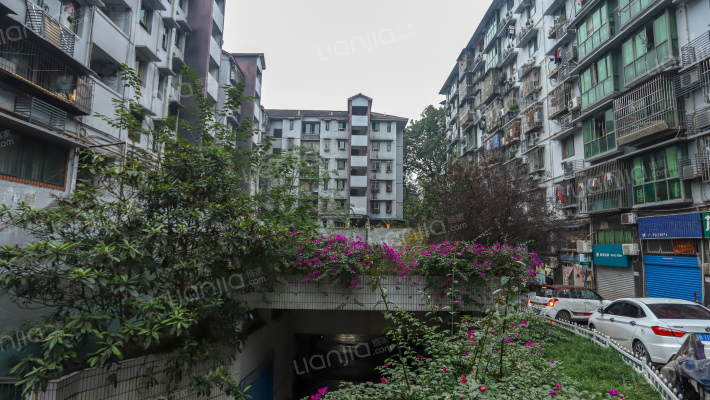 北碚龙凤花园外景图