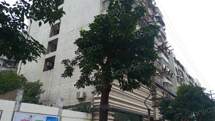 大新大厦外景图