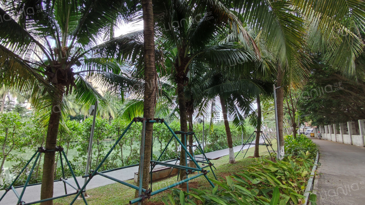 海南测绘局美舍宿舍区外景图