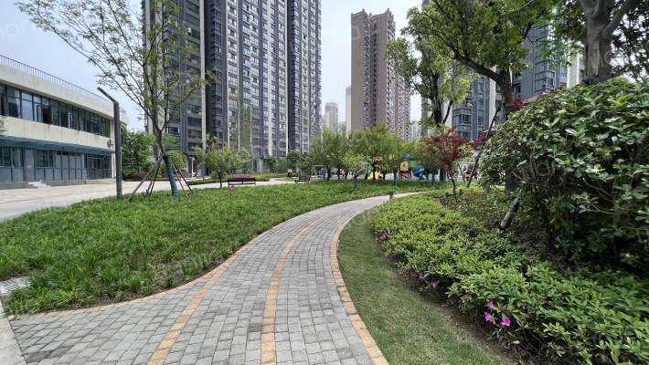 御江壹品青山印外景图