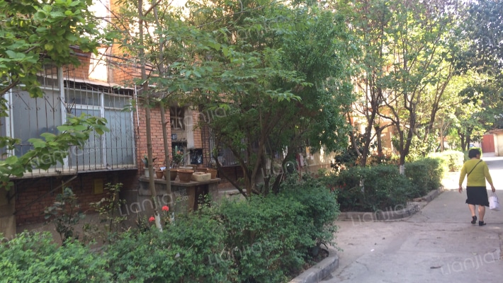 席子营二期外景图