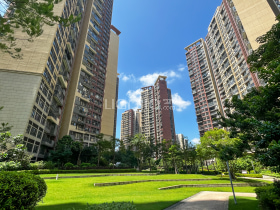 星河丹堤G区