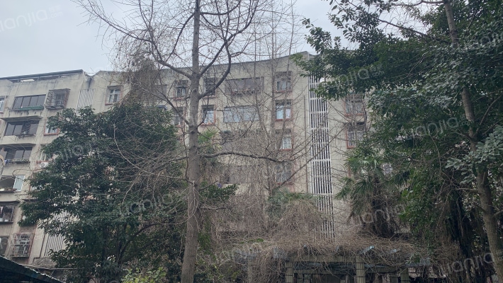 金彭西路442号外景图