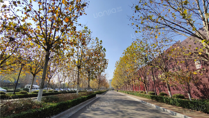 金沙滩路917号外景图