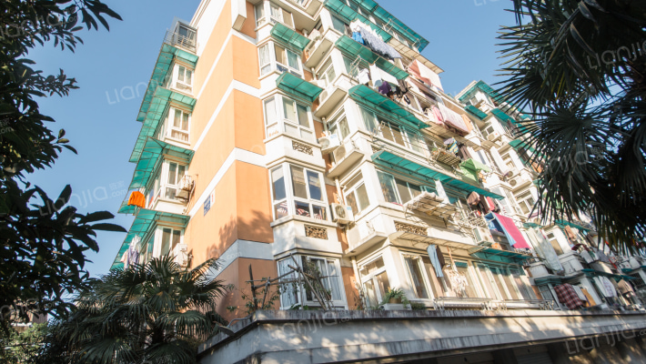 紫林公寓外景图