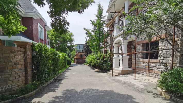 彼岸香醍外景图