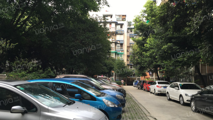 锦城庭院外景图