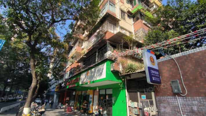 江南大道中外景图