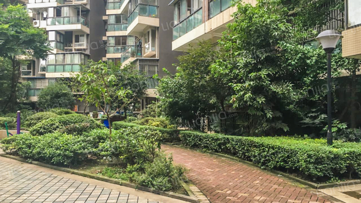 南桥春天外景图