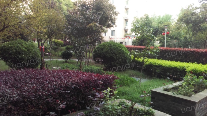 滨江苑三期外景图