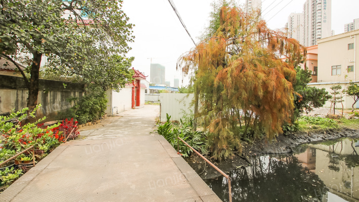 华光南路137号外景图