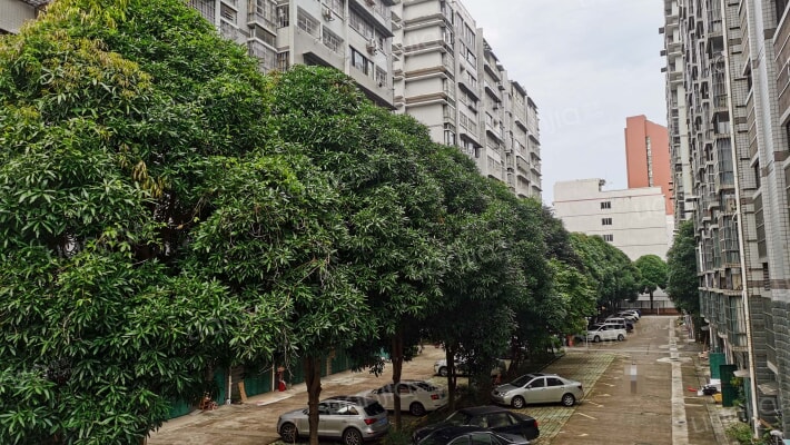 广西农机研究院生活区外景图