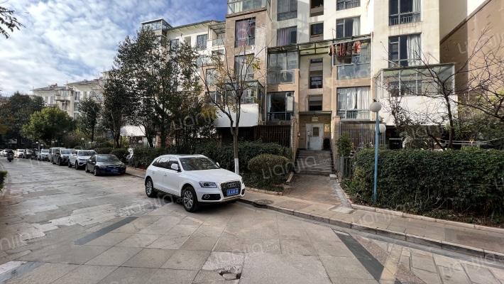 都市枫林外景图