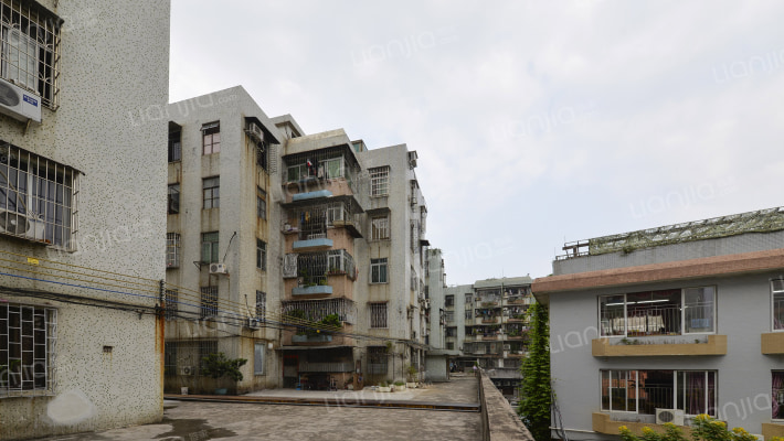 钟村镇怡乐园外景图