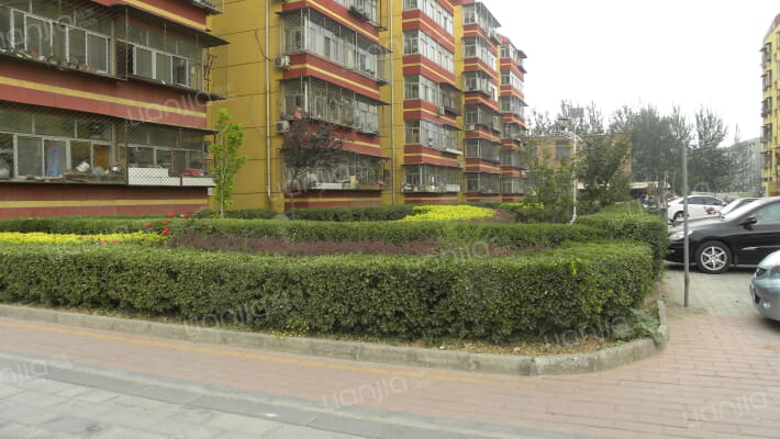 吴店西里外景图