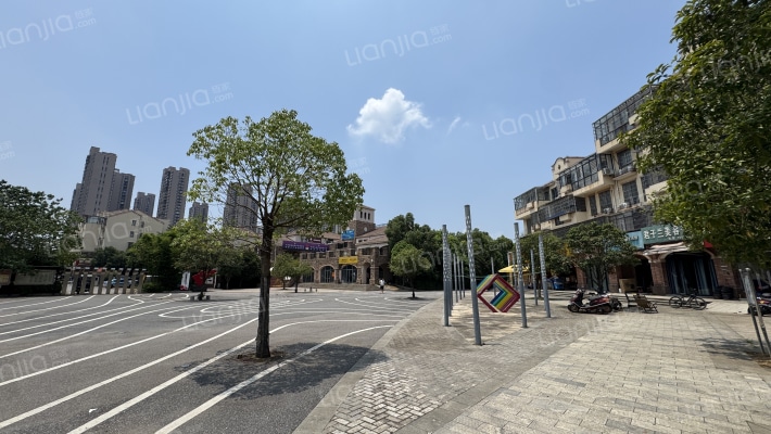 中新森林海外景图