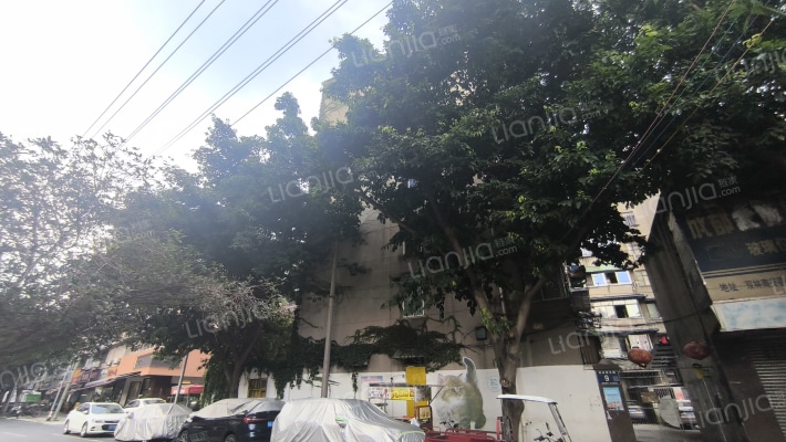 双林南支路9号外景图