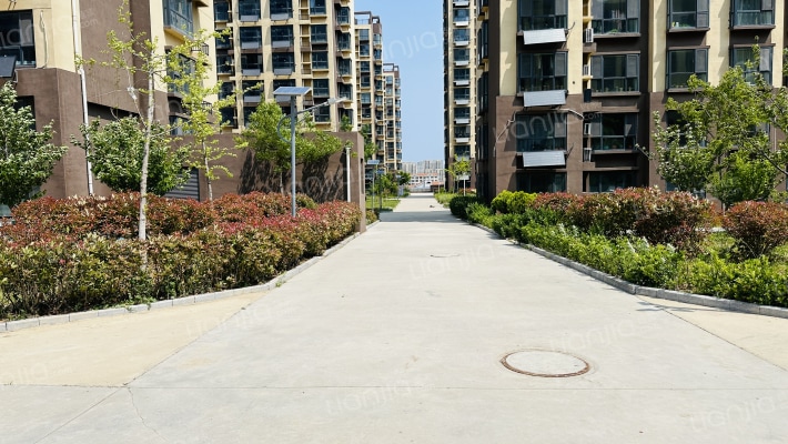 春霖·悦湖外景图