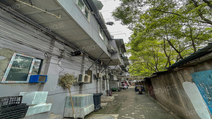 鹦鹉大道283号外景图