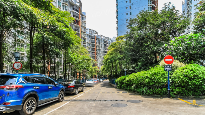 柳沙丽园外景图