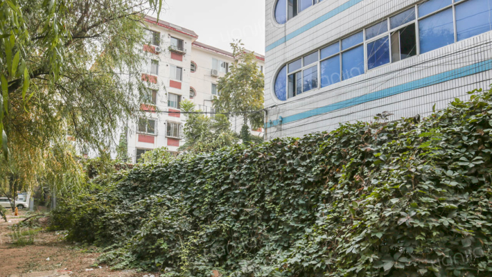 矿山院小区外景图