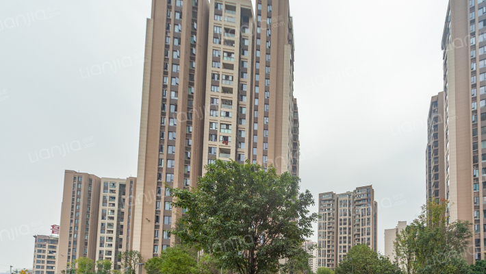 鲁能领秀城1街区外景图