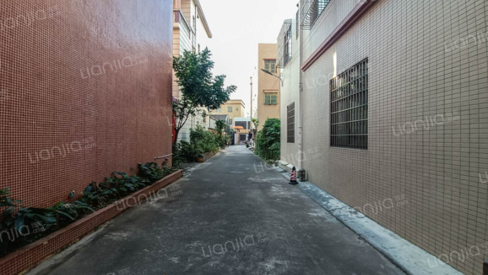 兴华中路外景图