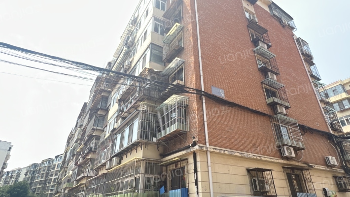 金田花园外景图