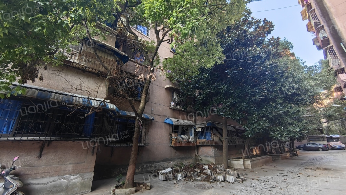 鲤鱼东巷29号外景图