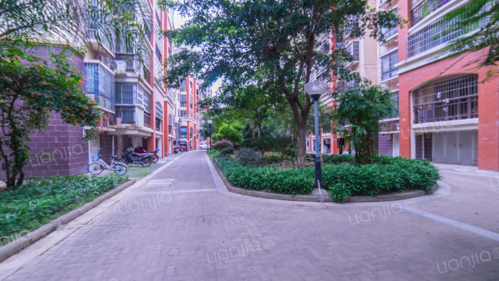 夏威夷.城市广场外景图