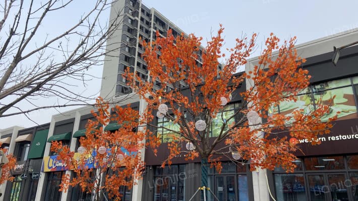 融创西城宸阅外景图