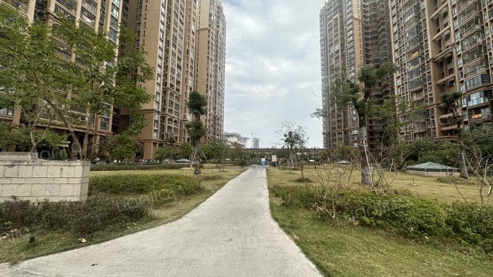 石岗村东区团结苑外景图