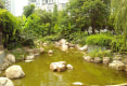 康城水云间37