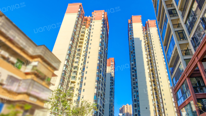 中路雅苑外景图