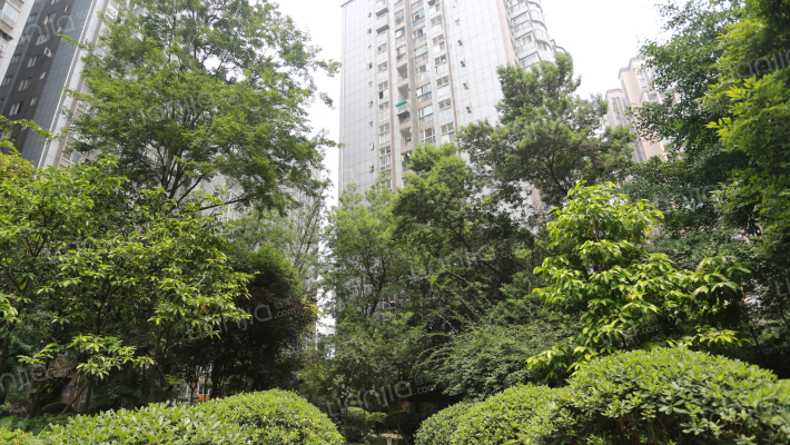 城南名著外景图