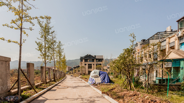 金阳第一农场大学城外景图