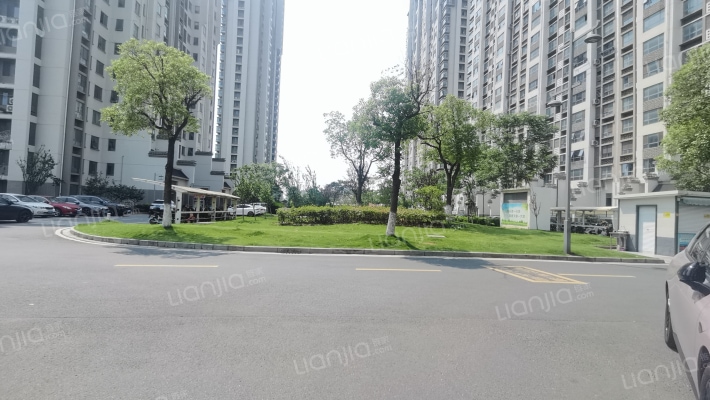 金香花苑北区外景图