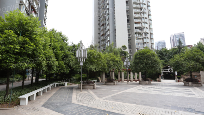 金科桦林景苑外景图