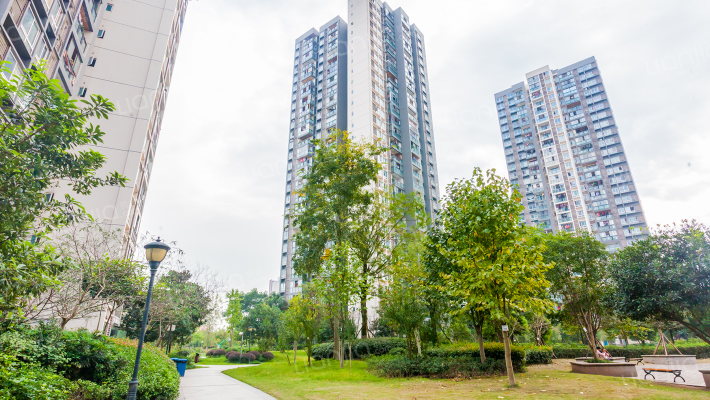 新港左岸陈桥外景图