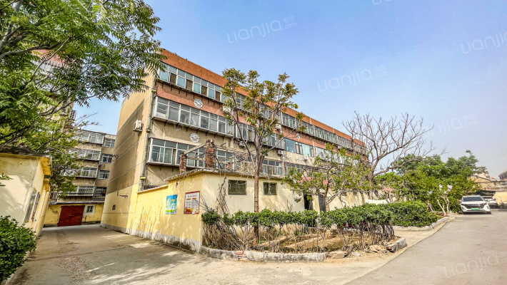 泰山区财政局宿舍外景图