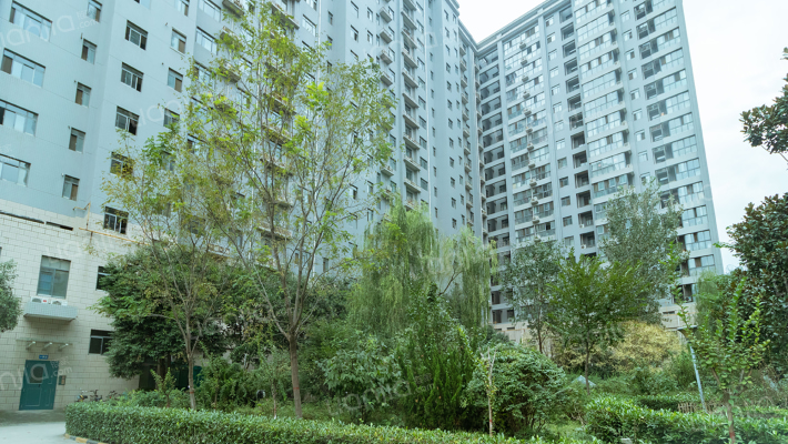 唐园假日新城外景图