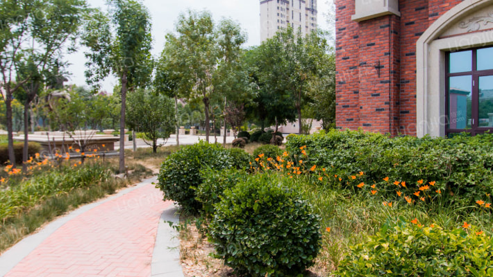 团泊湖墅外景图