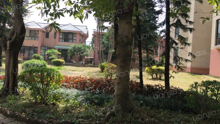 星晨花园二期外景图